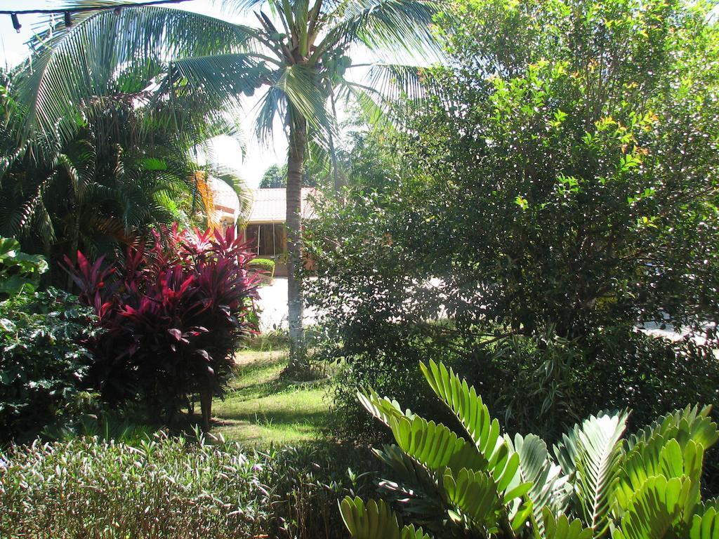 Hotel La Arena Liberia Εξωτερικό φωτογραφία