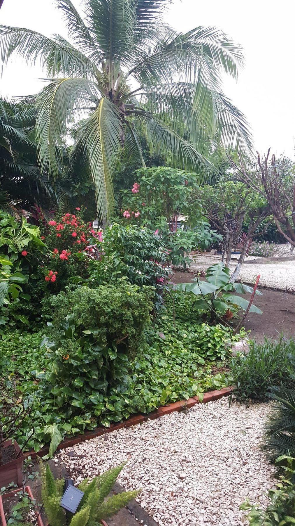 Hotel La Arena Liberia Εξωτερικό φωτογραφία